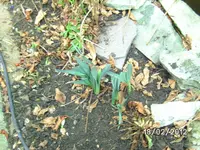BILD0537.webp