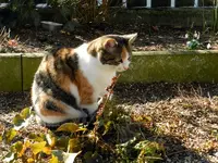 Mieze22-02-12-143.webp