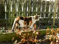 Mieze22-02-12-144.webp