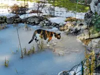Mieze22-02-12-147.webp