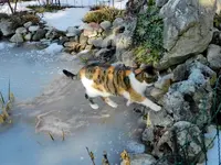 Mieze22-02-12-148.webp