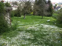 _ILD0045.webp