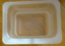 DSCF7380.2.webp