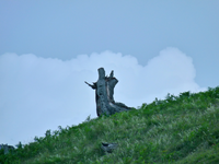P1090551.webp