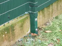 garten 033.webp