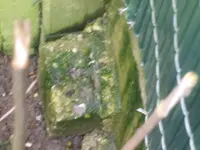 garten 031.webp