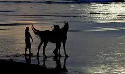 32. Kia ora - ein Abend am Meer.webp