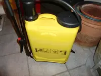 CIMG2421.webp