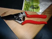 CIMG2430.webp