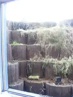 SDC10028.webp