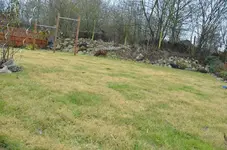 rasen.webp
