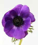 IMG_7673.webp