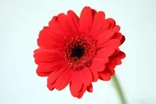 IMG_7697.webp