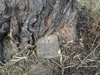 Grenzstein.webp