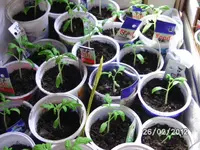 BILD0076.webp