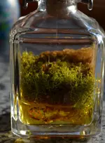 eingeschlossen1.webp eingeschlossen1.webp