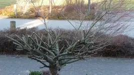 K800_Frühling 2012 292.webp