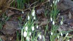 K800_Frühling 2012 293.JPG