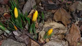 K800_Frühling 2012 294.webp