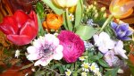 K800_Frühling 2012 295.JPG