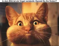SUCHBILD.webp