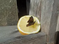 26.02.12 (2).webp