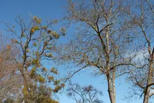 2012_0224winter0029.webp