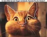 Copy (2) of SUCHBILD.webp