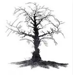 Gesichter im Baum v.webp