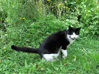 IMG_0163v.webp