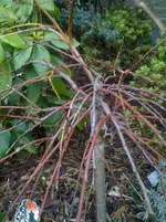 Foto (14).webp