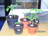 BILD0543.webp