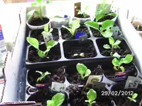 BILD0091.webp