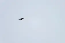 2012_0229winter0002.webp