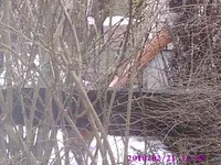 PIC00067.webp