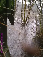 PIC00107.webp