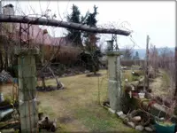 Garten.webp