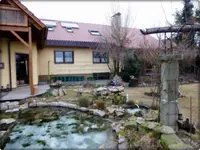 Teich.webp