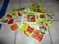 CIMG2461.webp