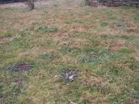 P1010046.webp