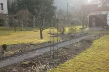 Garten Febr. 2012 005.webp