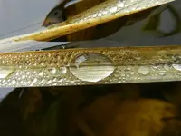 Wassertropfen056.webp