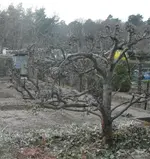 Bildschirmfoto 2012-02-12 um 09.08.57.webp