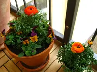 IMG_2764.webp