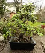 P1040829_Web.webp