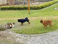 BobbyCharly-Mieze04-03-12_129.webp