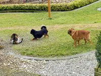 BobbyCharly-Mieze04-03-12_130.webp