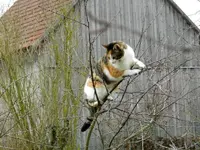 Mieze-04-03-12_025.webp