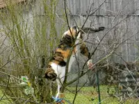 Mieze-04-03-12_027.webp
