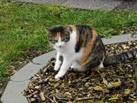 Mieze-04-03-12_029.webp